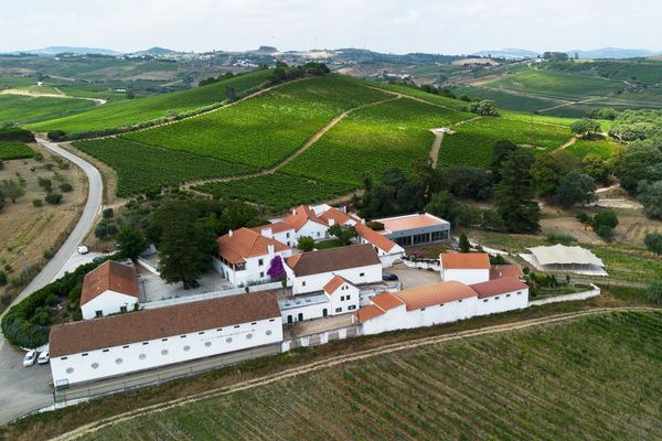 Aerial view of Quinta do Boiro among the Alenquer vineyards