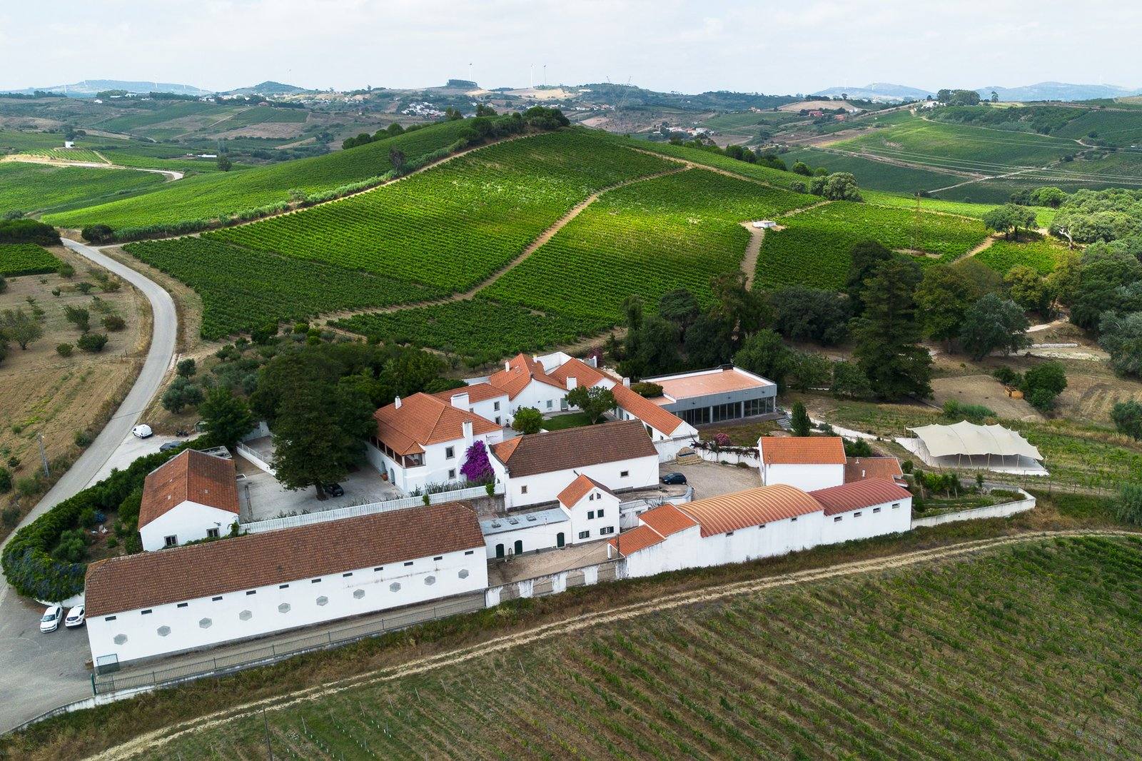 Estate from above