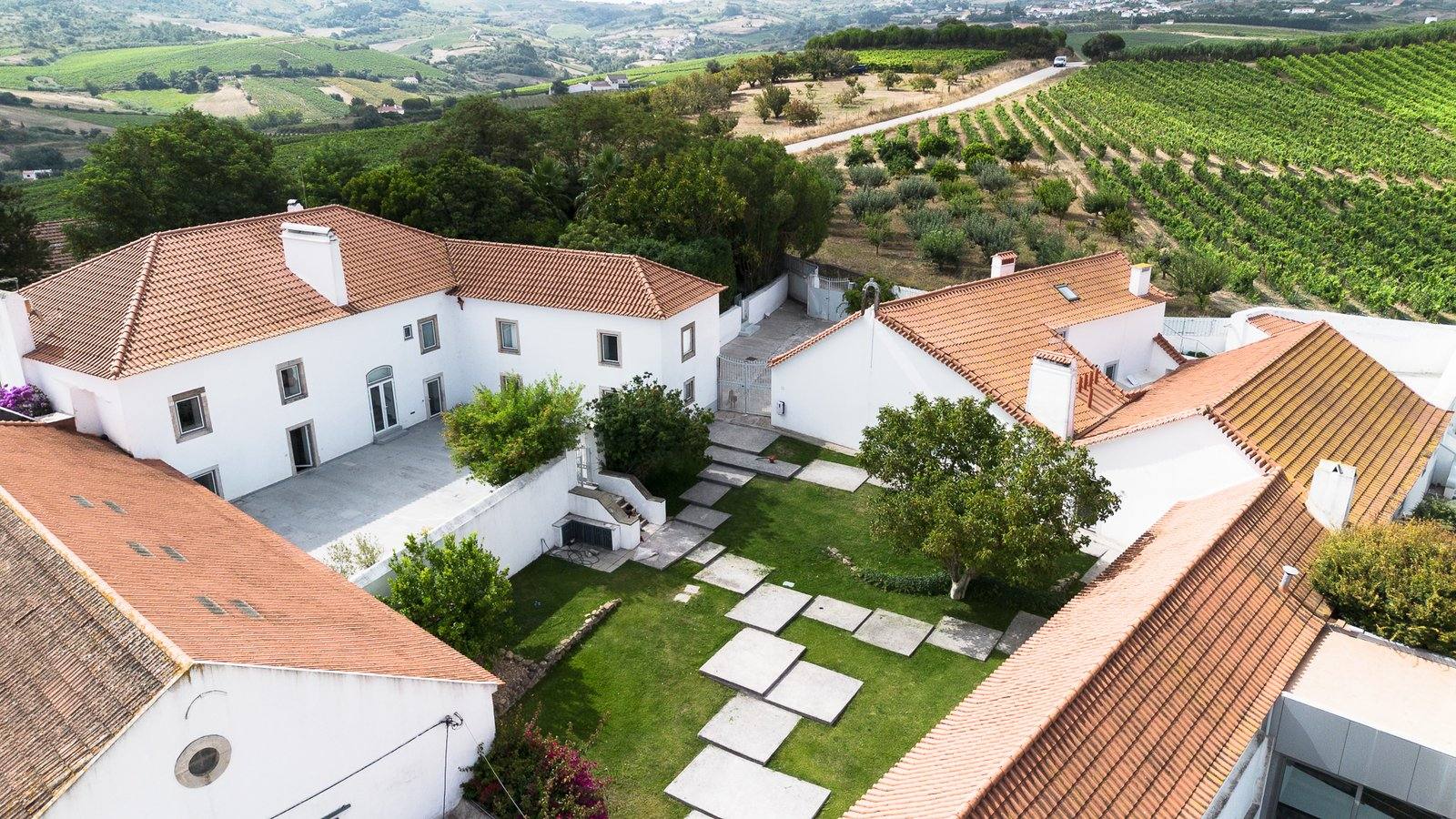 Rooftops and gardens
