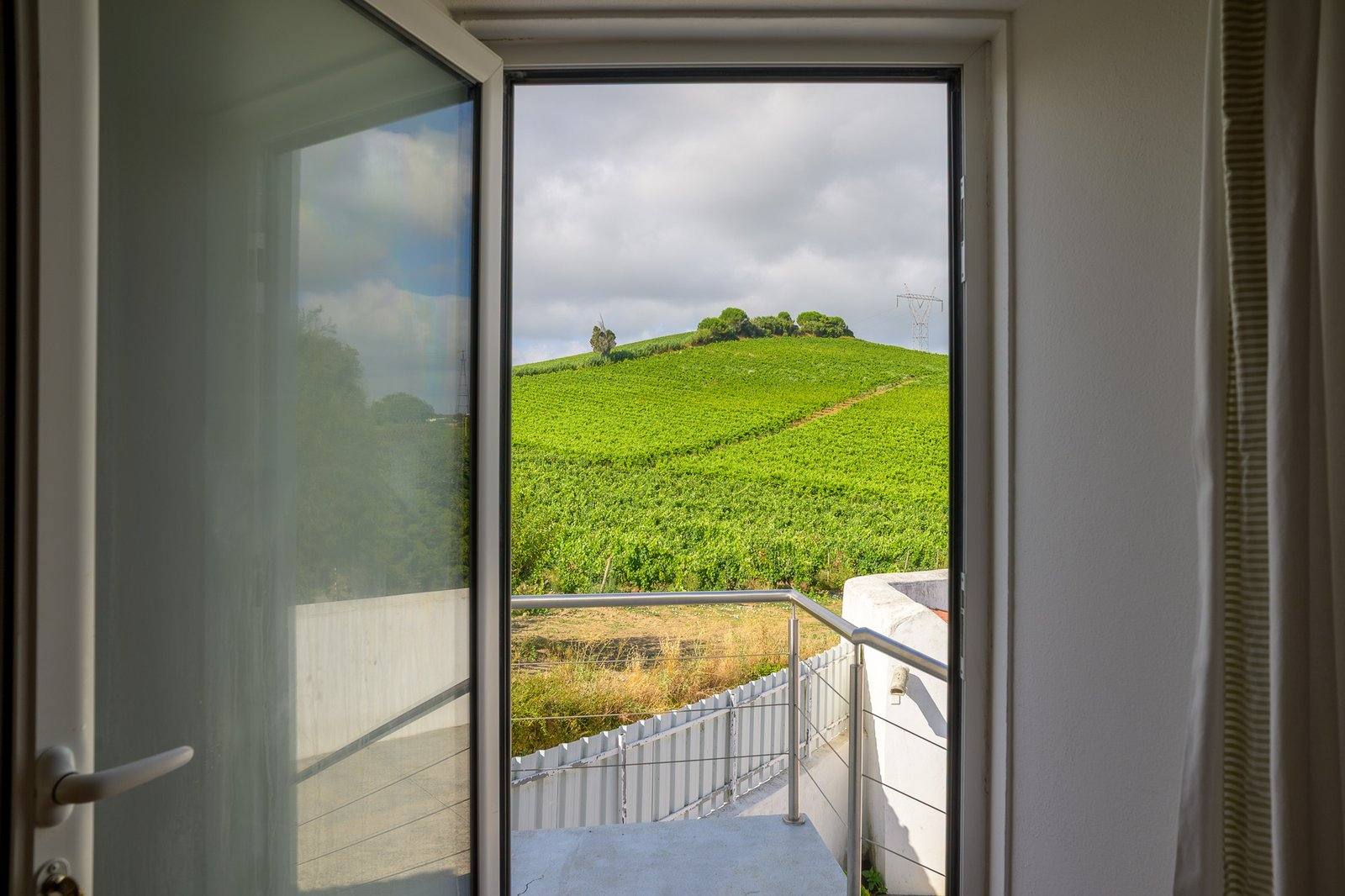 Vineyard view from the door