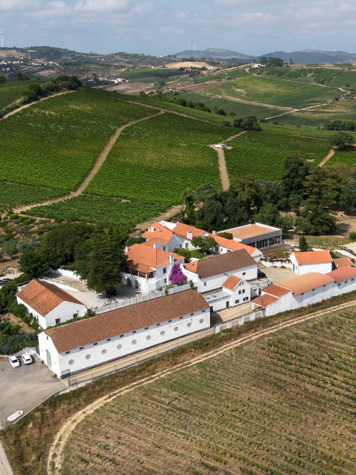 Quinta do Boiro from the air, the manor ringed by vineyards